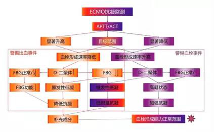 ECMO（專題一）(圖2)